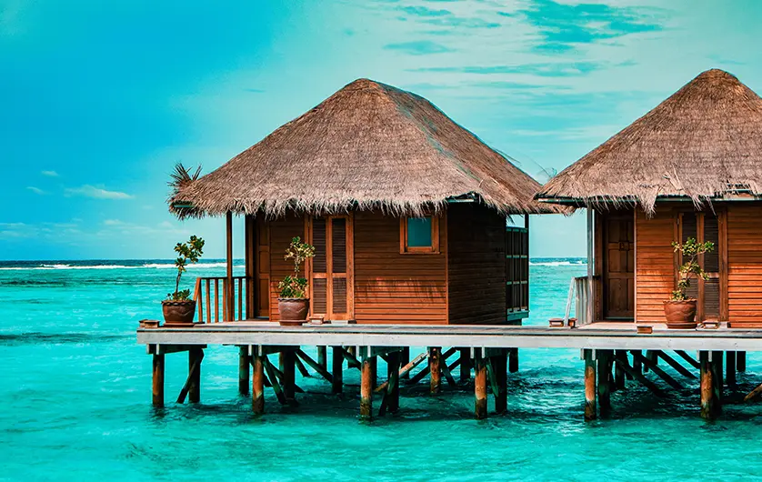 Travel deals and SLOW